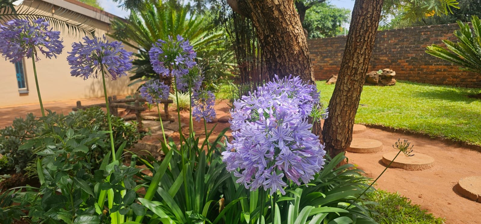 WhatsApp Image 2025-11-08 at 10.06.52 (1)