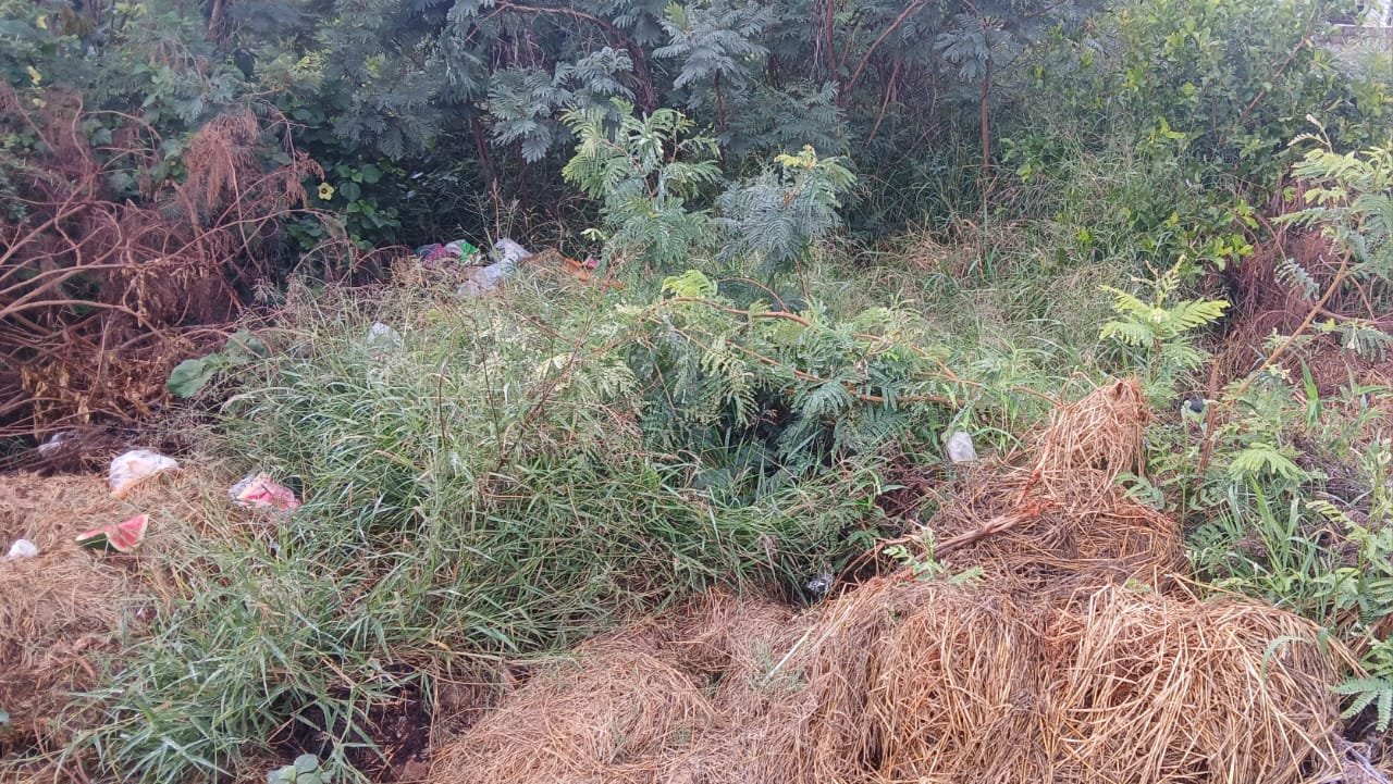 WhatsApp Image 2026-01-15 at 11.16.55 (2)