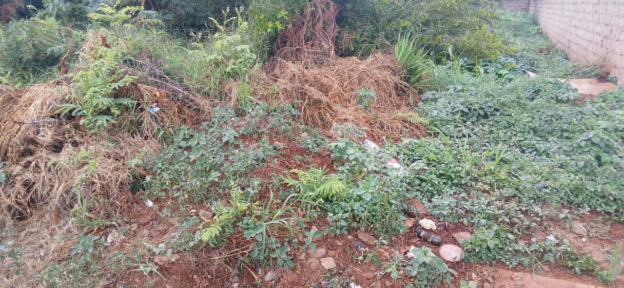 WhatsApp Image 2026-01-15 at 11.16.55