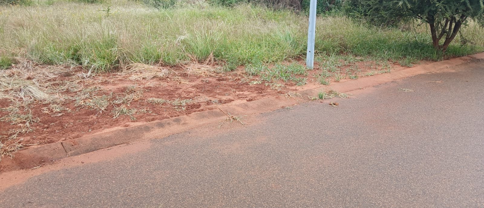 WhatsApp Image 2026-01-15 at 12.05.10