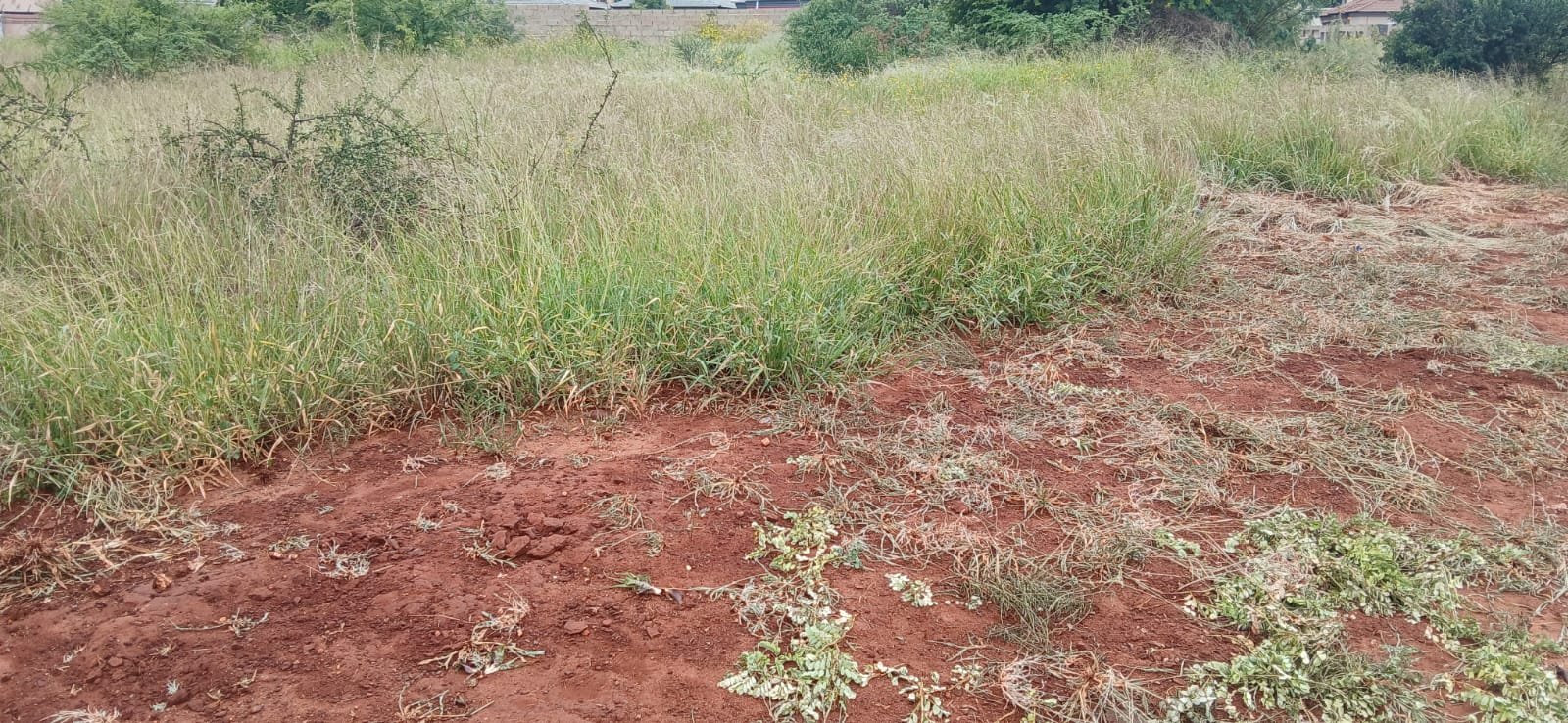 WhatsApp Image 2026-01-15 at 12.05.11 (1)