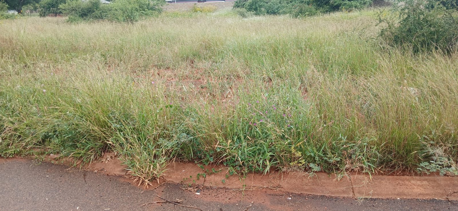 WhatsApp Image 2026-01-15 at 12.05.12