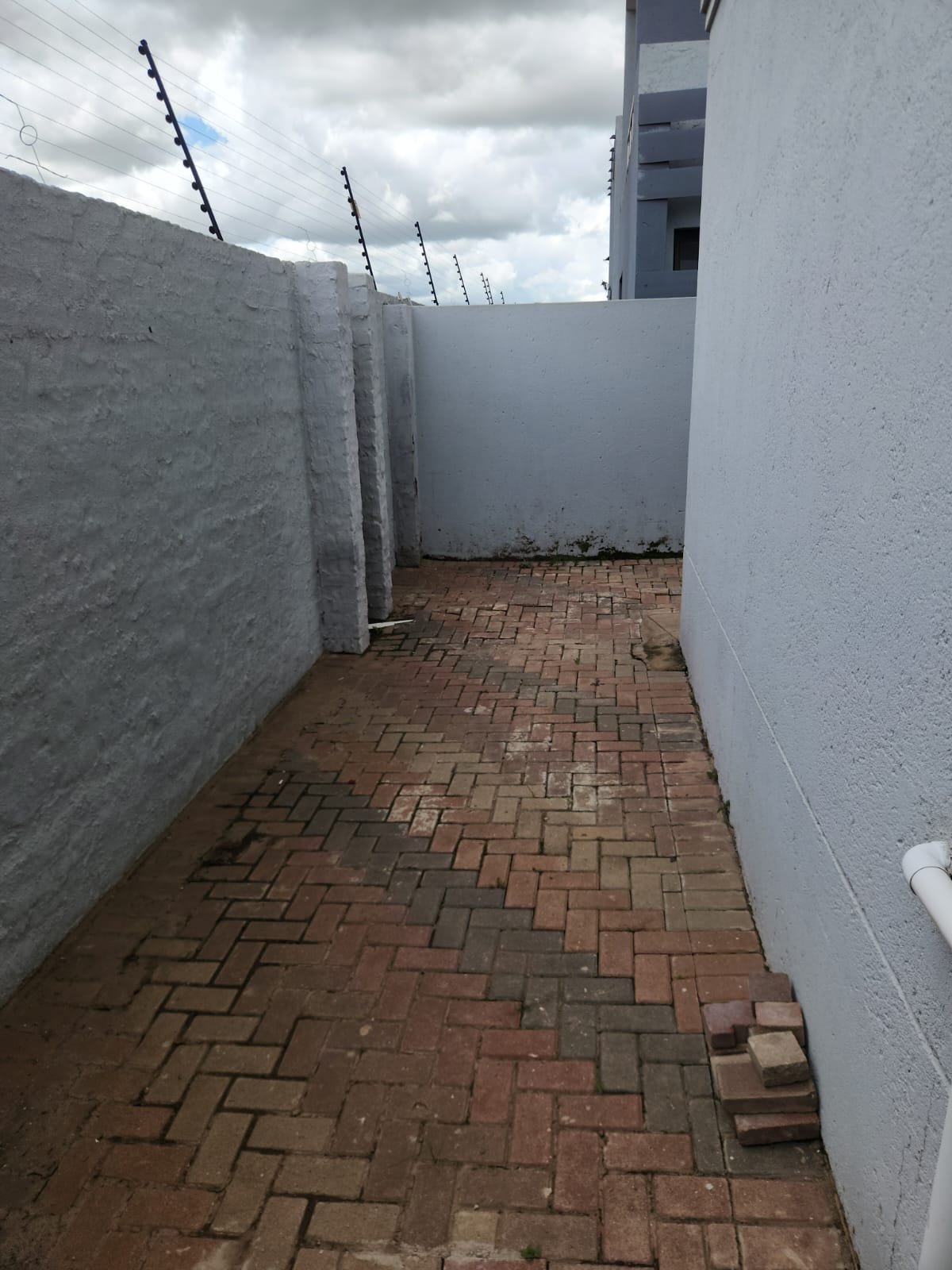 WhatsApp Image 2026-01-18 at 21.14.56