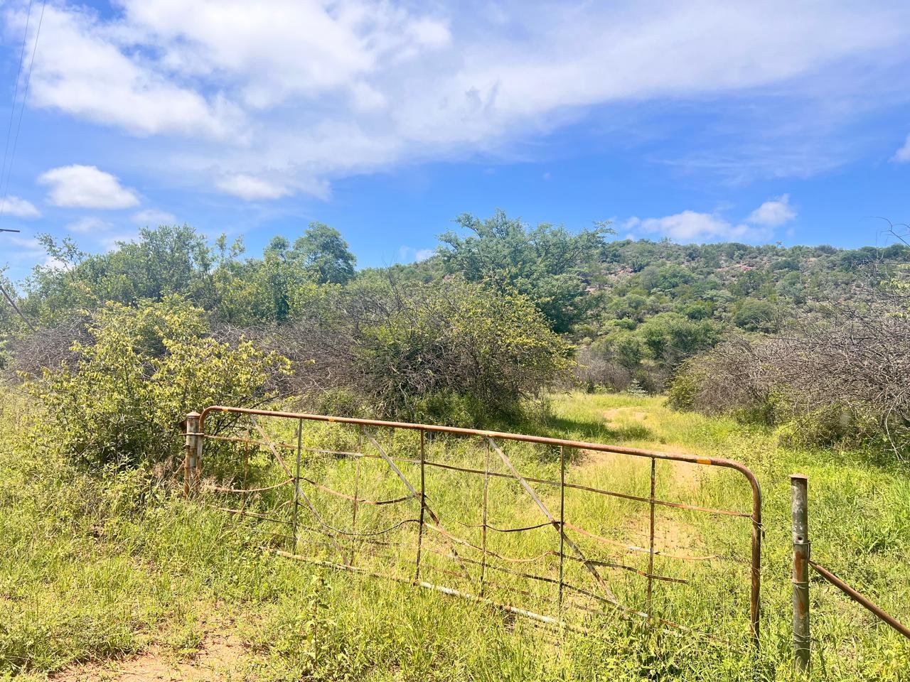 WhatsApp Image 2026-01-23 at 19.32.29 (1)