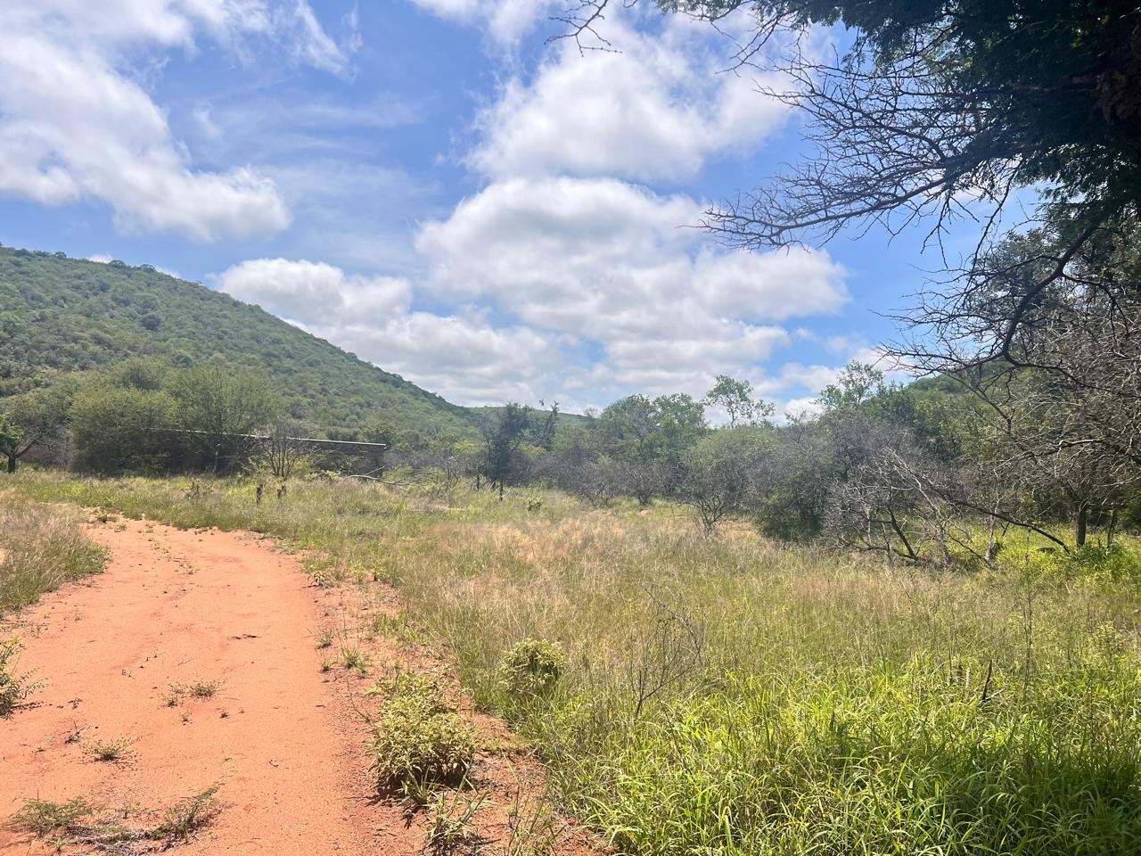 WhatsApp Image 2026-01-23 at 19.32.30