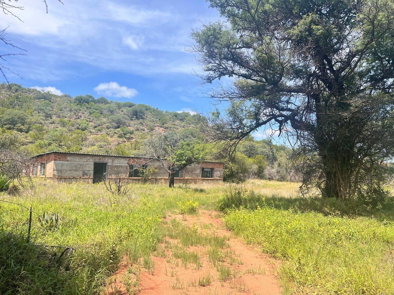 WhatsApp Image 2026-01-23 at 19.32.31 (2)