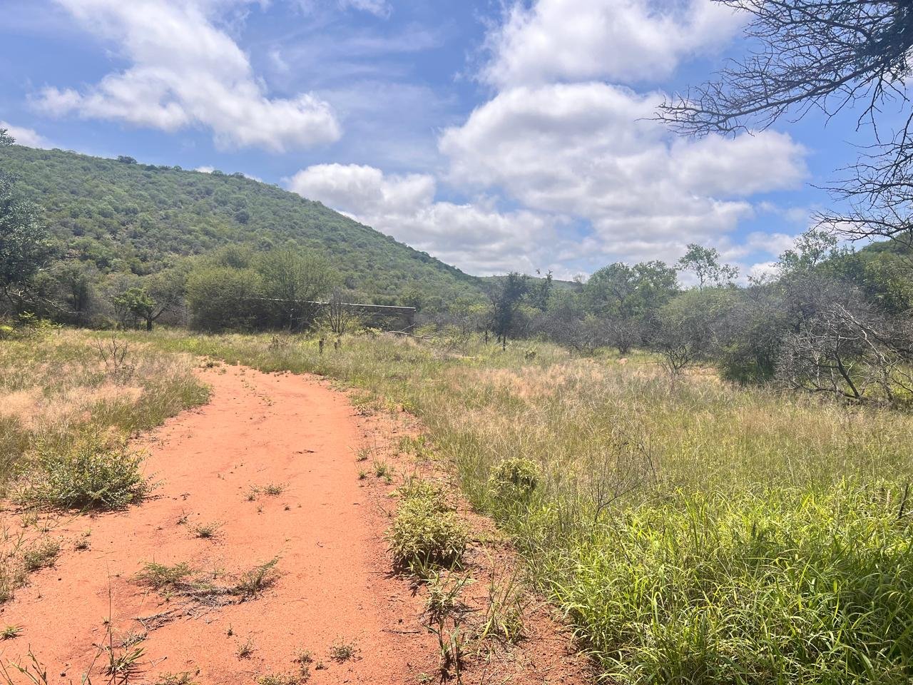 WhatsApp Image 2026-01-23 at 19.32.32