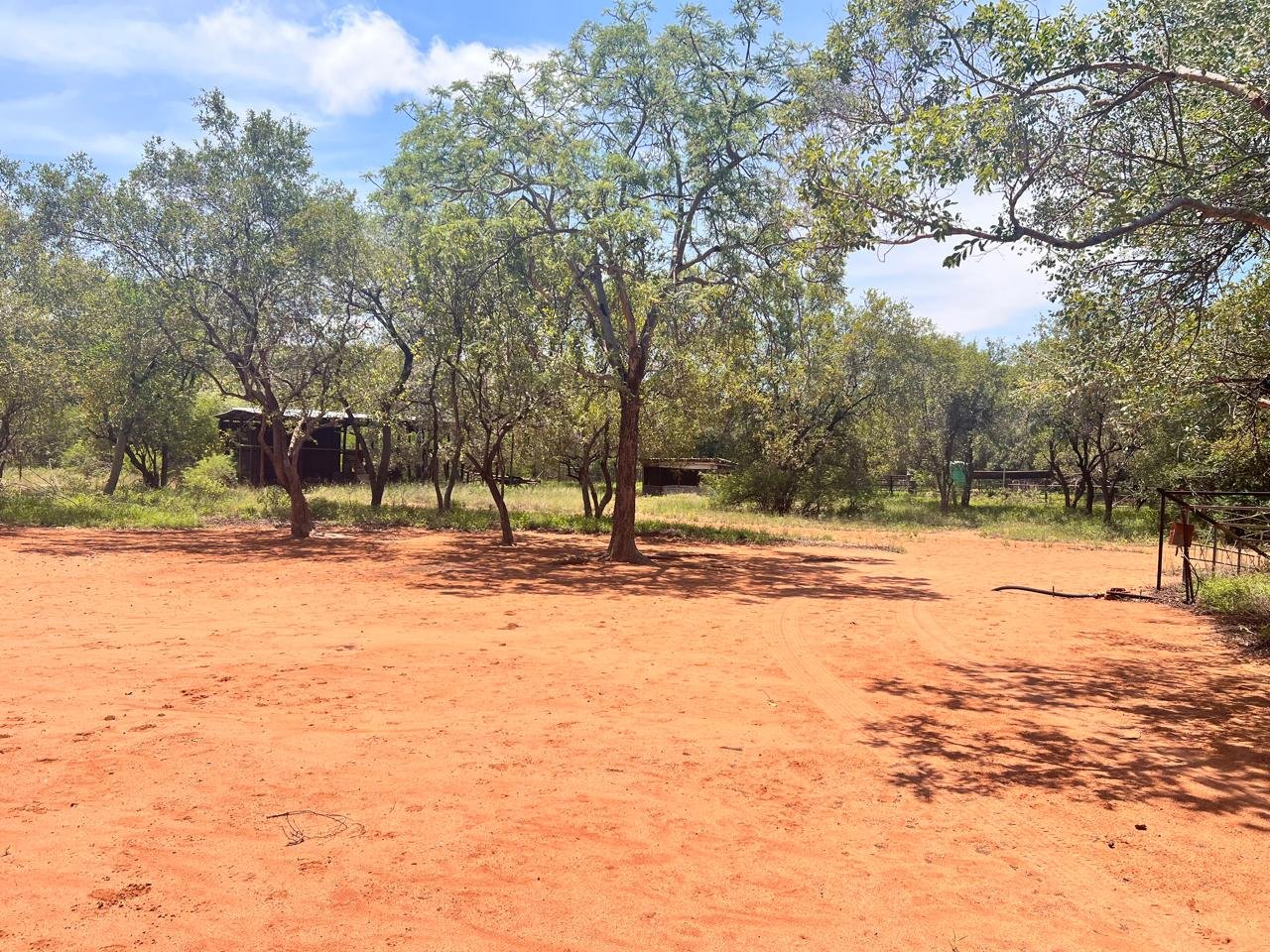 WhatsApp Image 2026-01-23 at 19.32.34