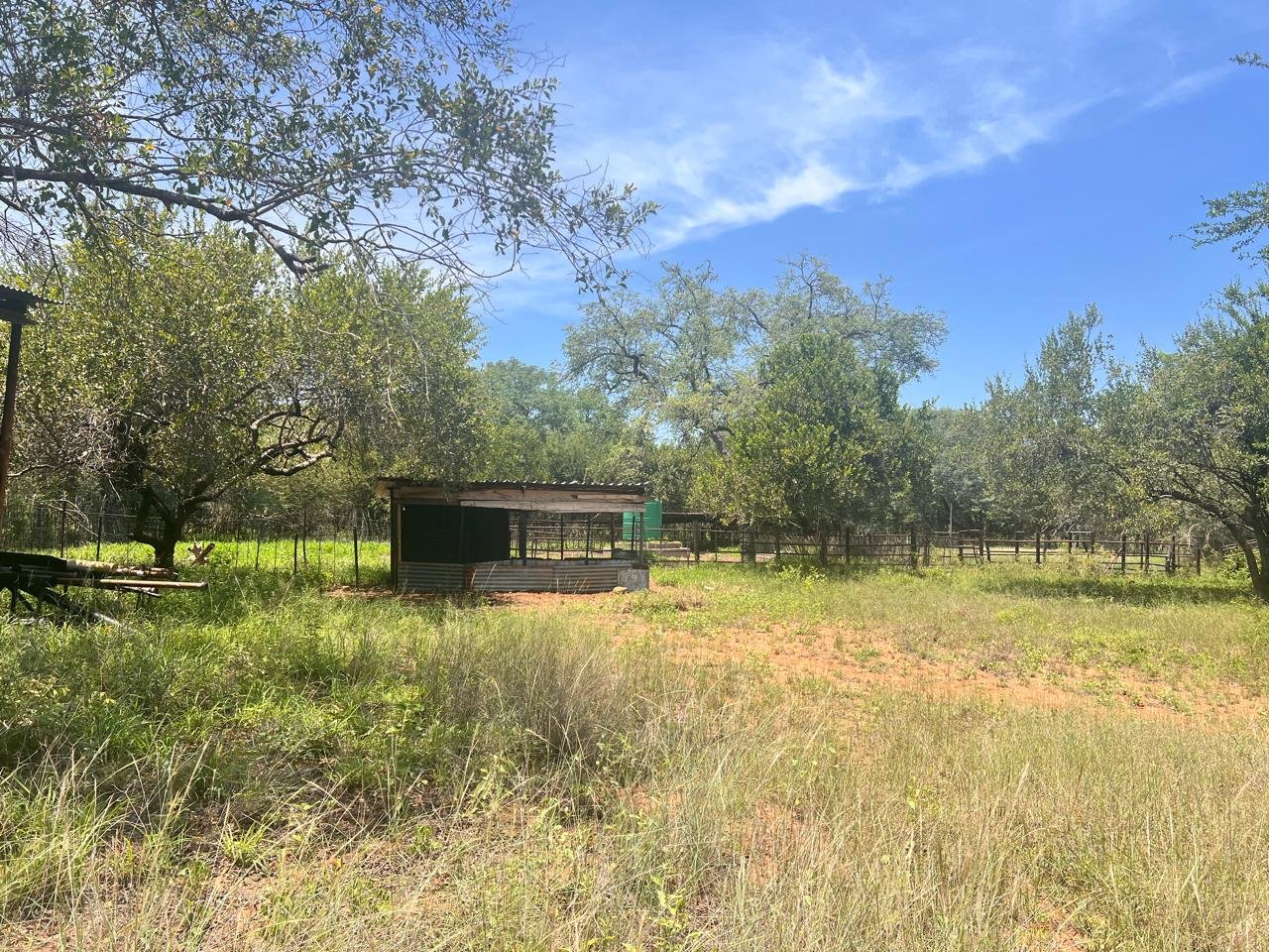 WhatsApp Image 2026-01-23 at 19.32.39 (1)