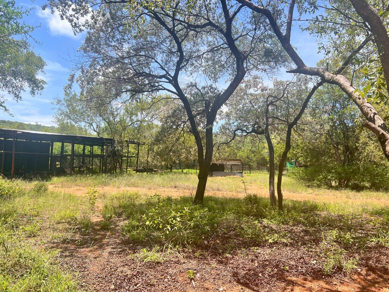 WhatsApp Image 2026-01-23 at 19.32.39