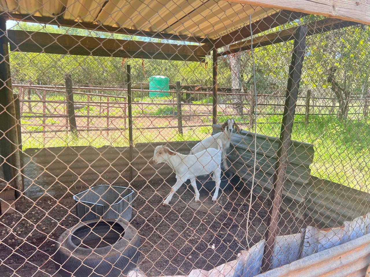 WhatsApp Image 2026-01-23 at 19.32.40 (3)