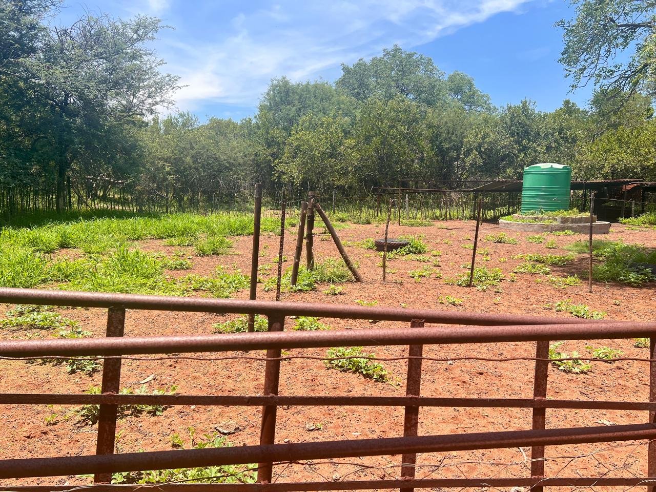 WhatsApp Image 2026-01-23 at 19.32.41 (1)