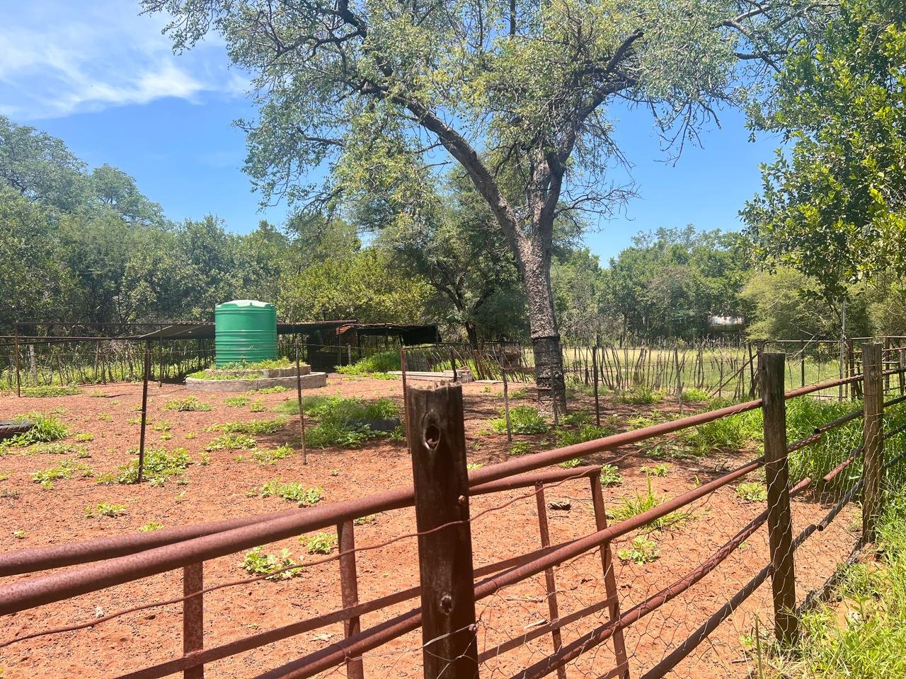 WhatsApp Image 2026-01-23 at 19.32.41 (2)