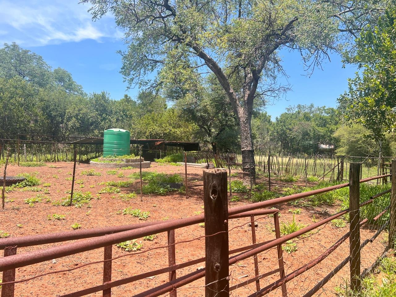 WhatsApp Image 2026-01-23 at 19.32.41