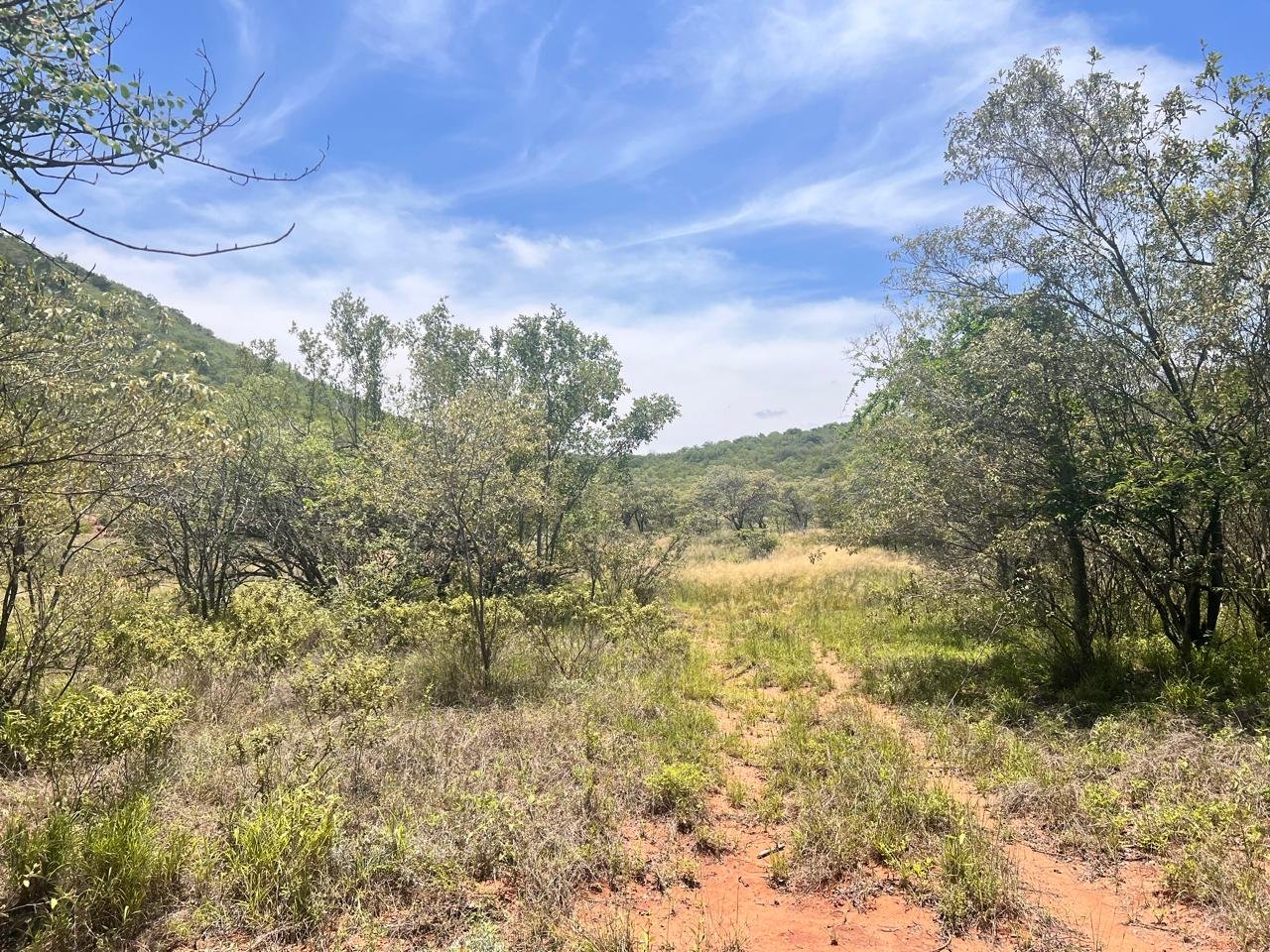 WhatsApp Image 2026-01-23 at 19.32.42 (1)