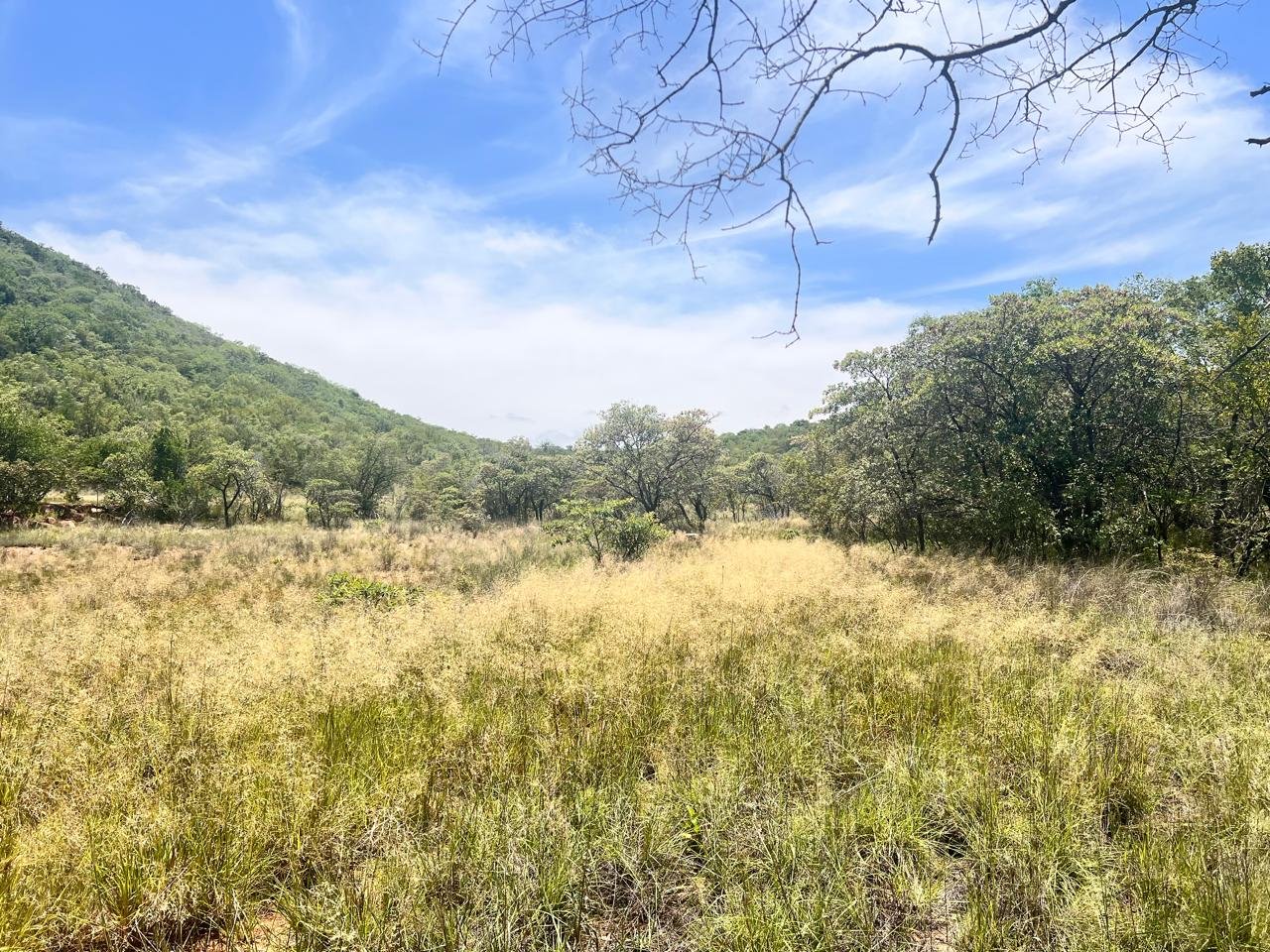 WhatsApp Image 2026-01-23 at 19.32.42 (2)