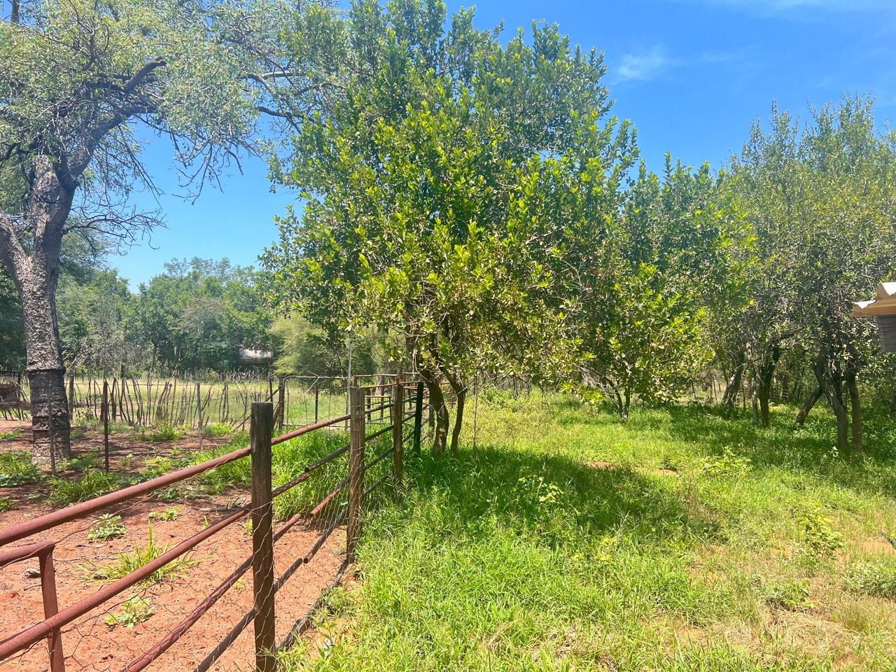 WhatsApp Image 2026-01-23 at 19.32.42