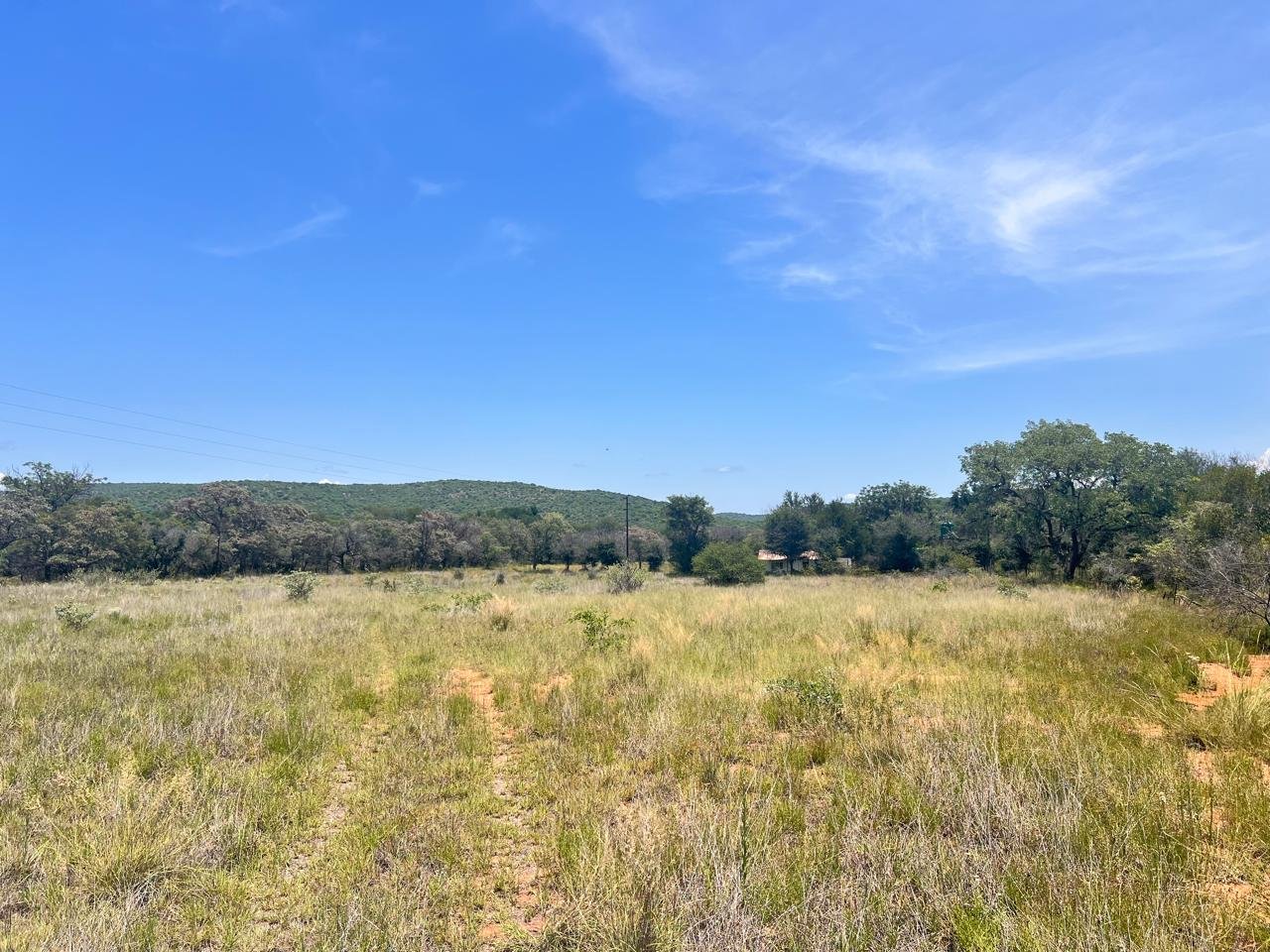 WhatsApp Image 2026-01-23 at 19.32.43 (2)