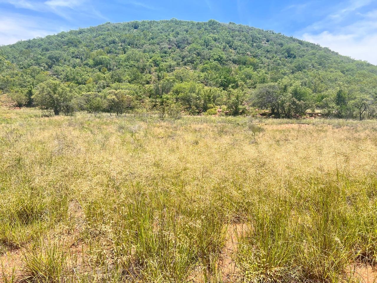 WhatsApp Image 2026-01-23 at 19.32.43