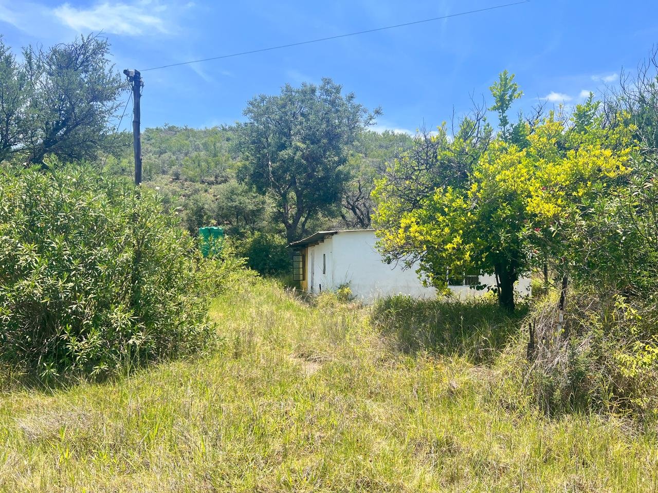 WhatsApp Image 2026-01-23 at 19.32.45 (1)