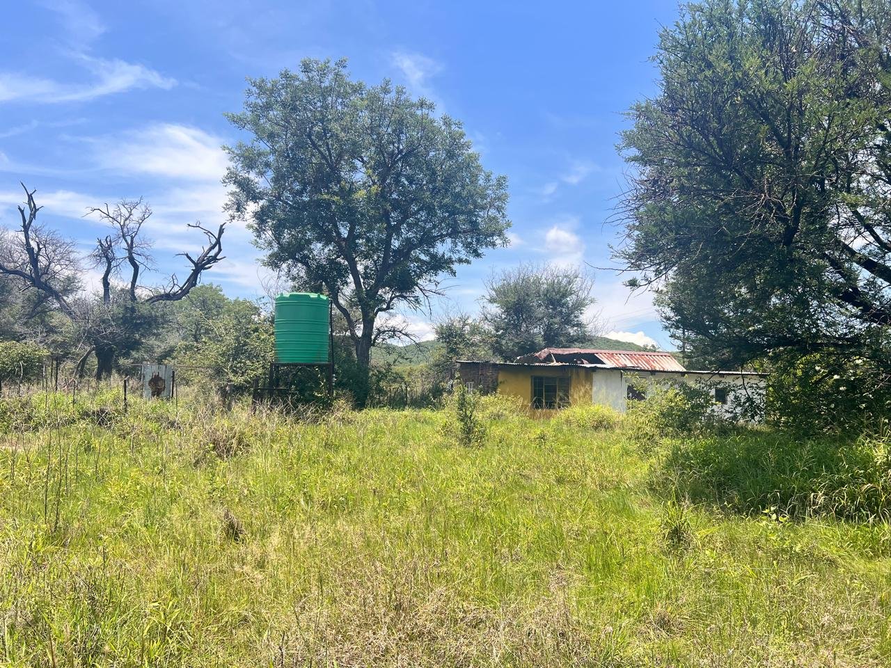 WhatsApp Image 2026-01-23 at 19.32.45 (2)