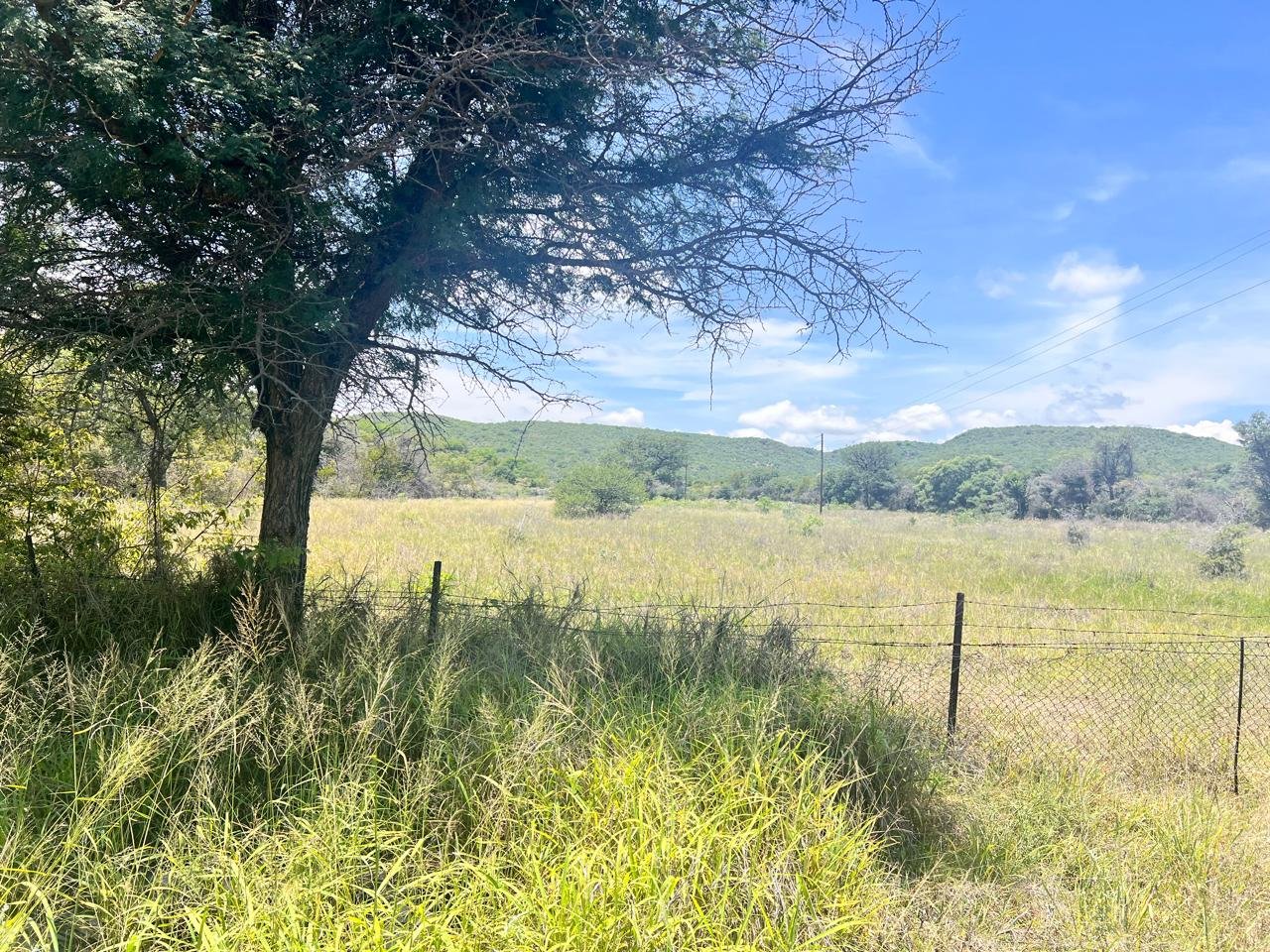 WhatsApp Image 2026-01-23 at 19.32.46 (1)