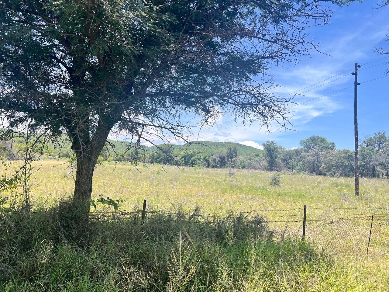 WhatsApp Image 2026-01-23 at 19.32.46 (2)