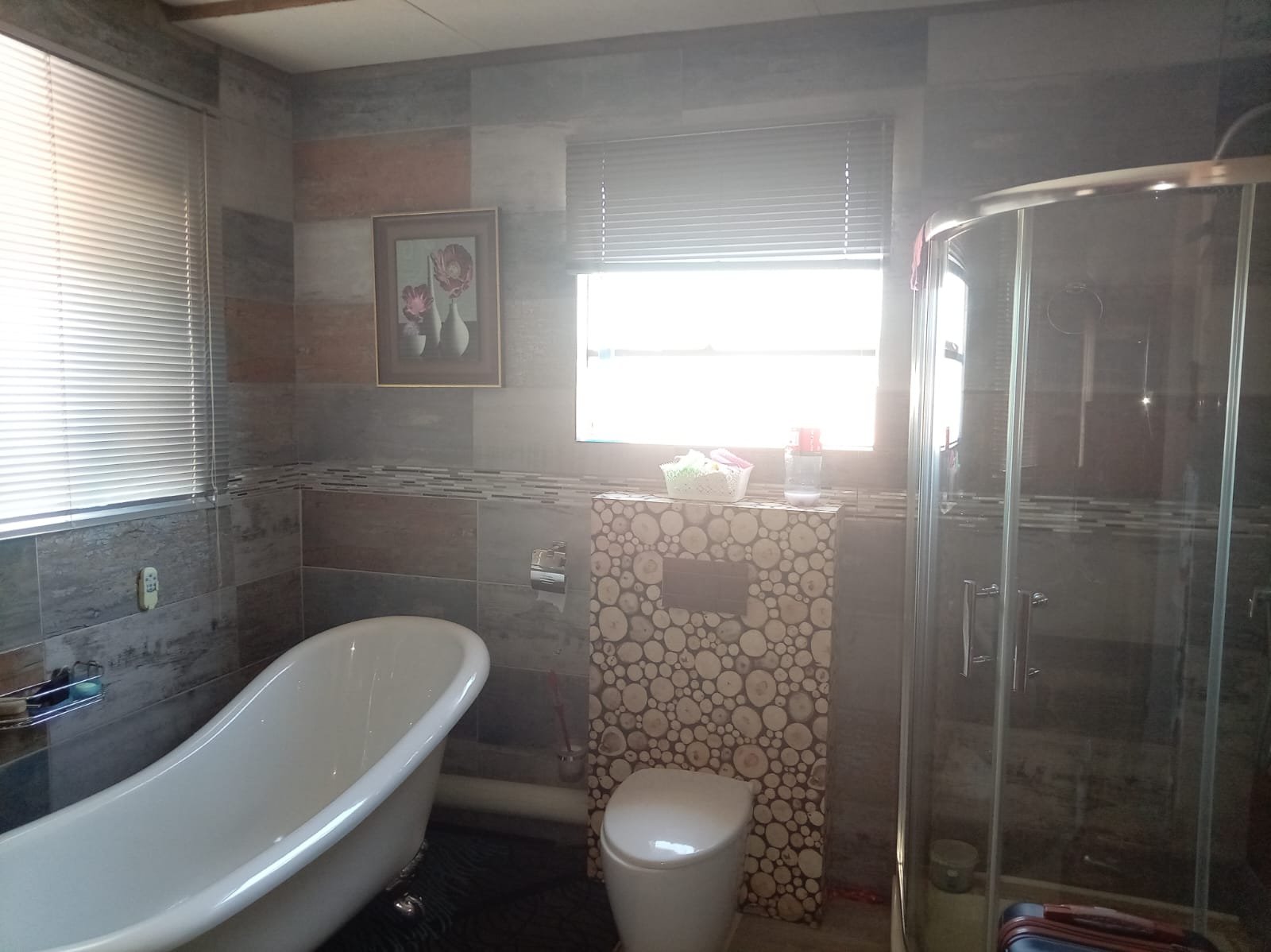 WhatsApp Image 2026-02-12 at 11.48.42 (1)