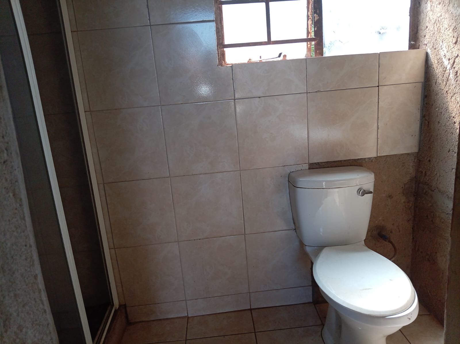 WhatsApp Image 2026-02-12 at 11.48.43 (1)