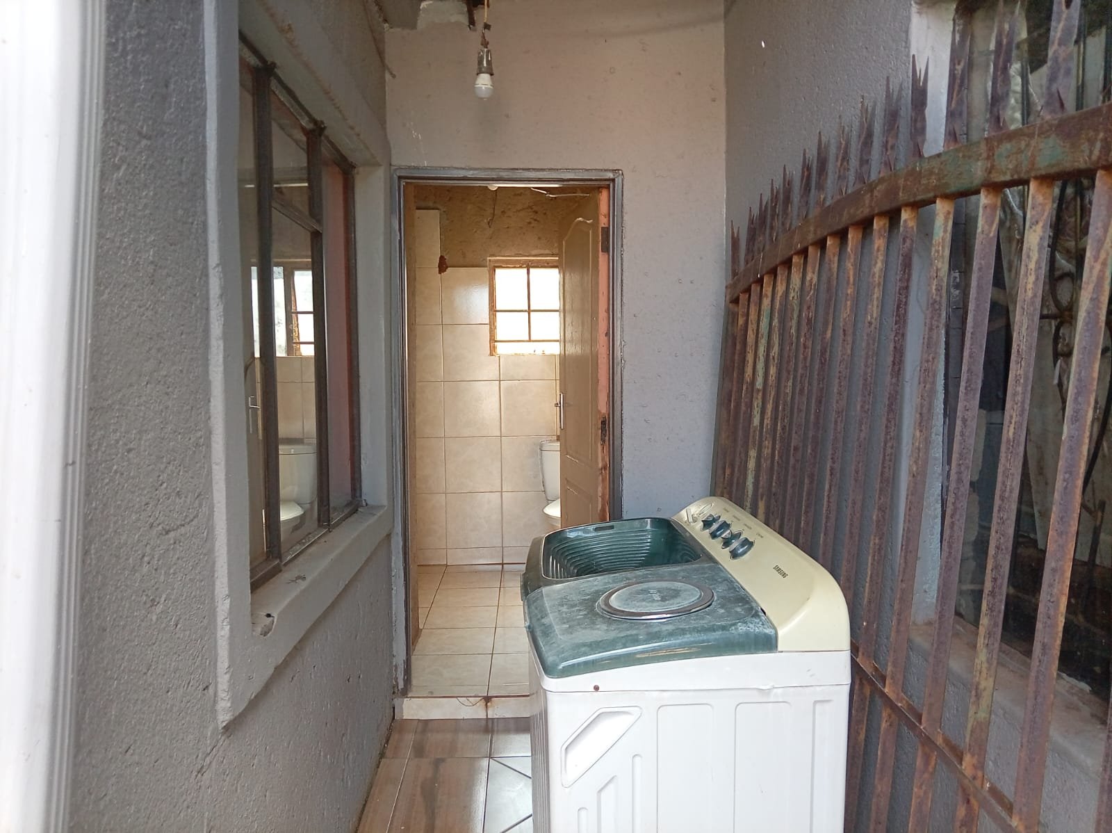 WhatsApp Image 2026-02-12 at 11.48.43