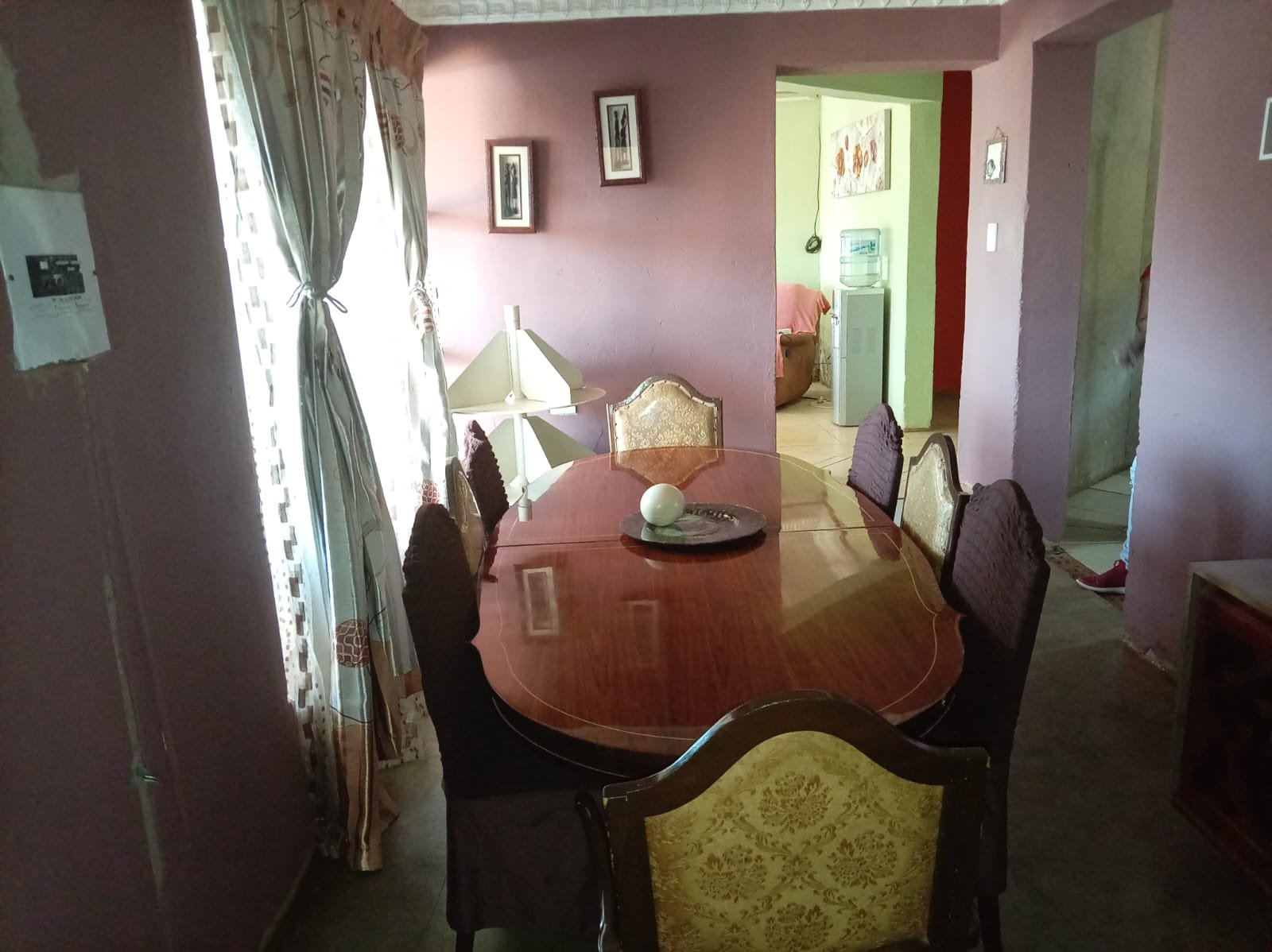 WhatsApp Image 2026-02-12 at 11.48.44