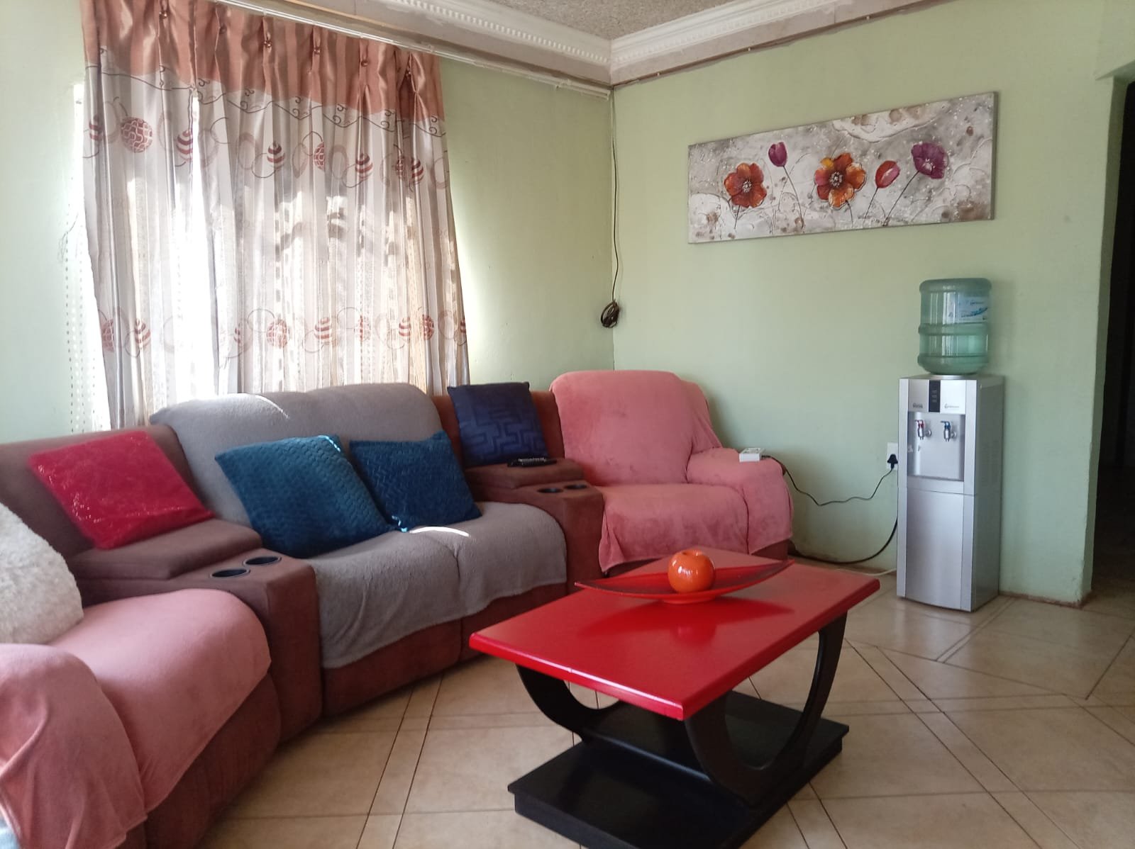 WhatsApp Image 2026-02-12 at 11.48.45