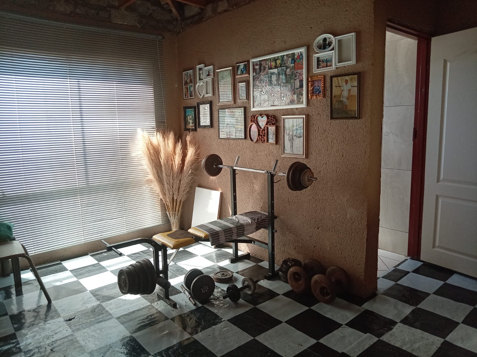 WhatsApp Image 2026-02-12 at 11.48.47