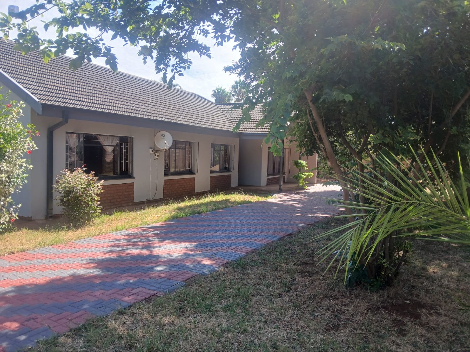 WhatsApp Image 2026-02-18 at 18.23.58