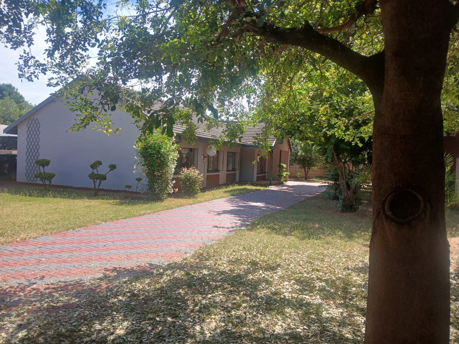 WhatsApp Image 2026-02-18 at 18.24.03