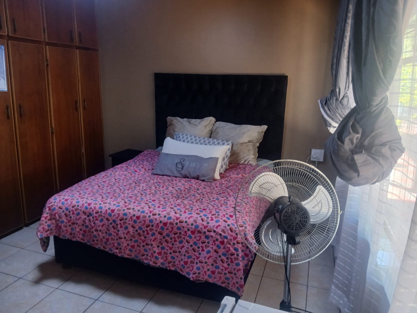 WhatsApp Image 2026-02-18 at 18.24.14