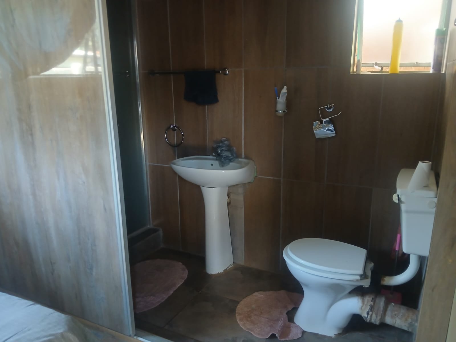 WhatsApp Image 2026-02-18 at 18.24.20