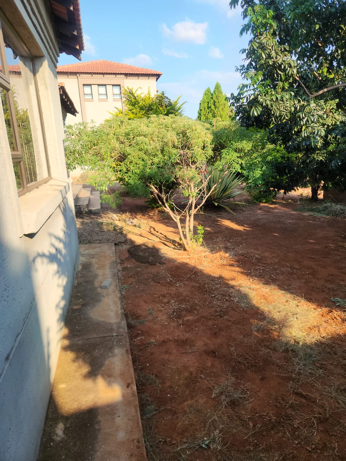 WhatsApp Image 2026-02-23 at 11.41.53