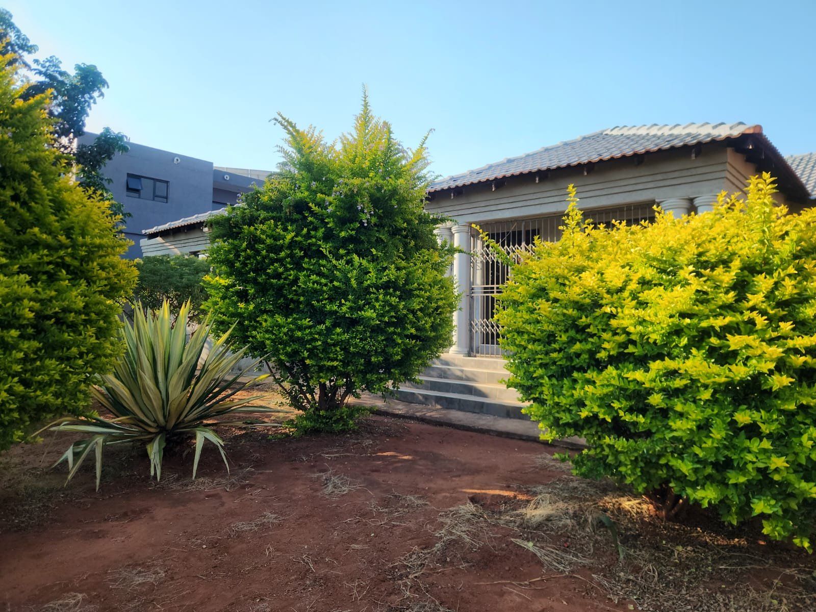 WhatsApp Image 2026-02-23 at 11.41.55