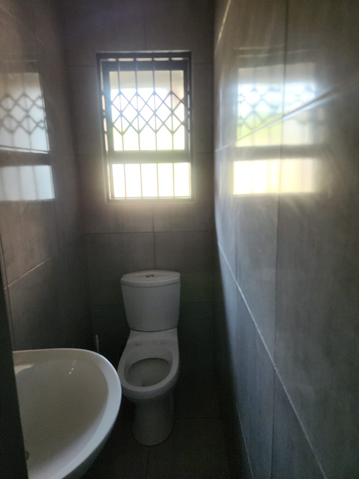 WhatsApp Image 2026-02-23 at 11.41.59