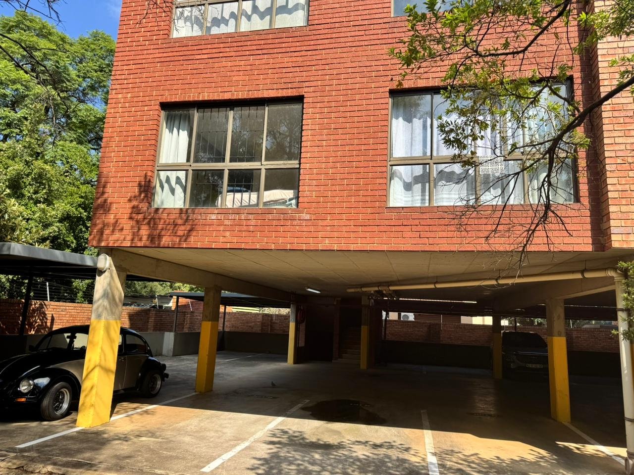 WhatsApp Image 2026-02-26 at 11.33.18