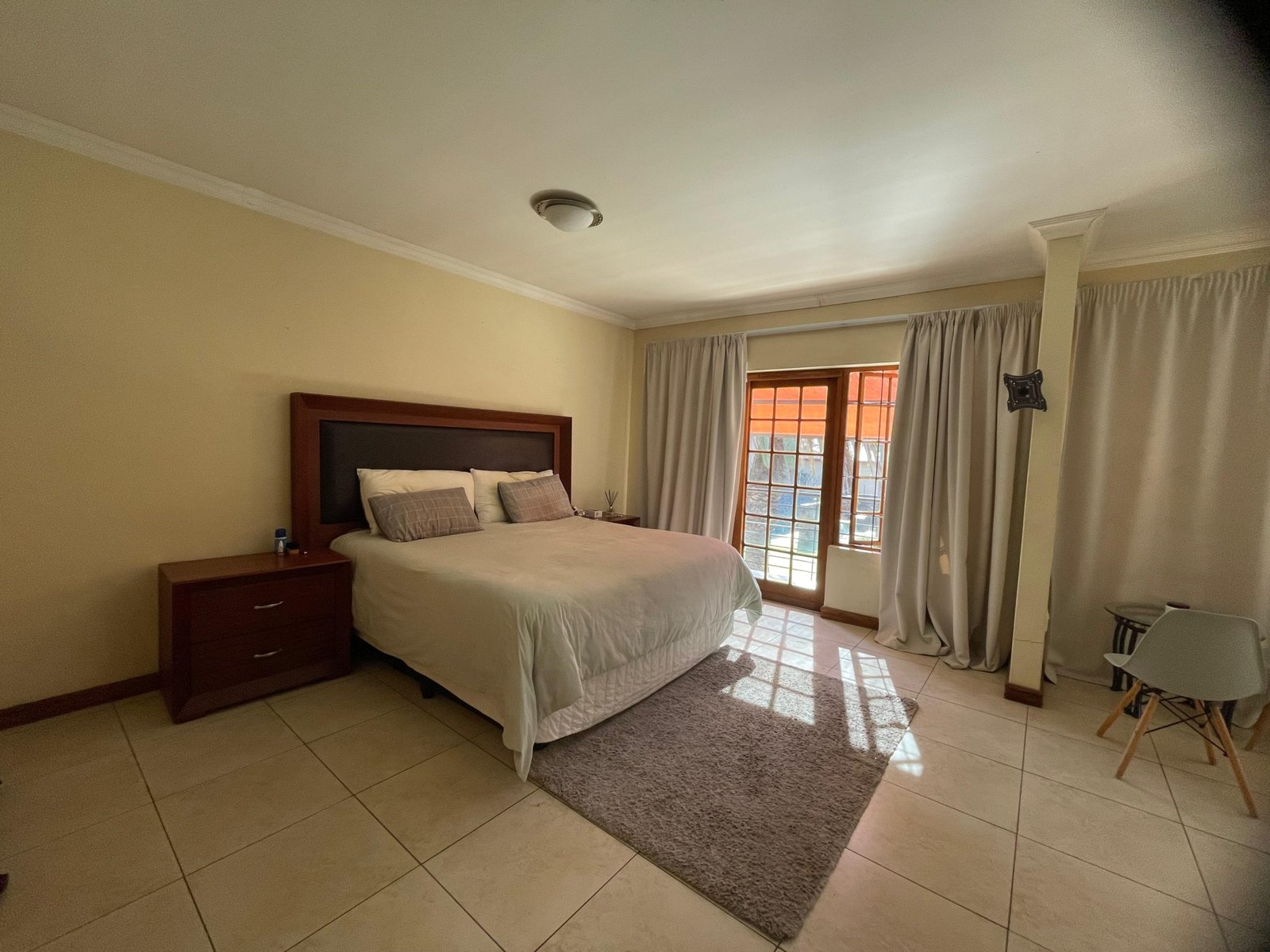 Silver palms10