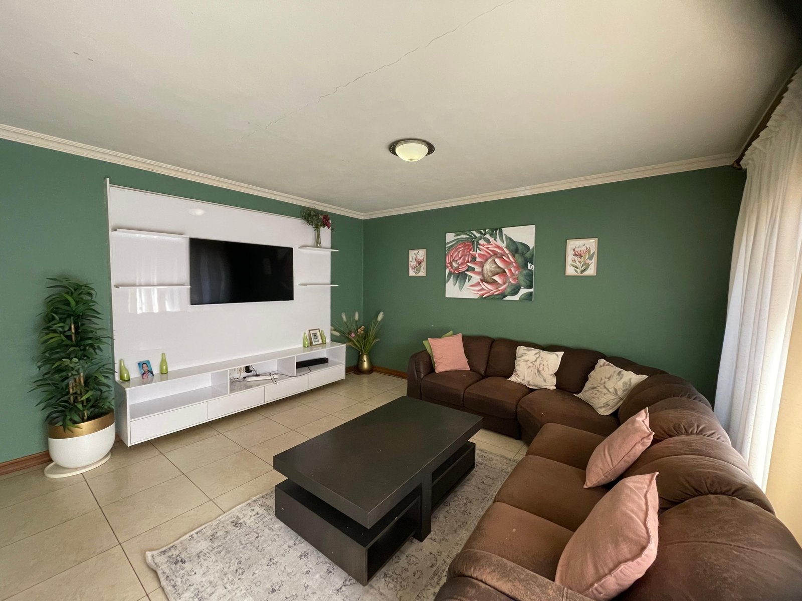 Silver palms12