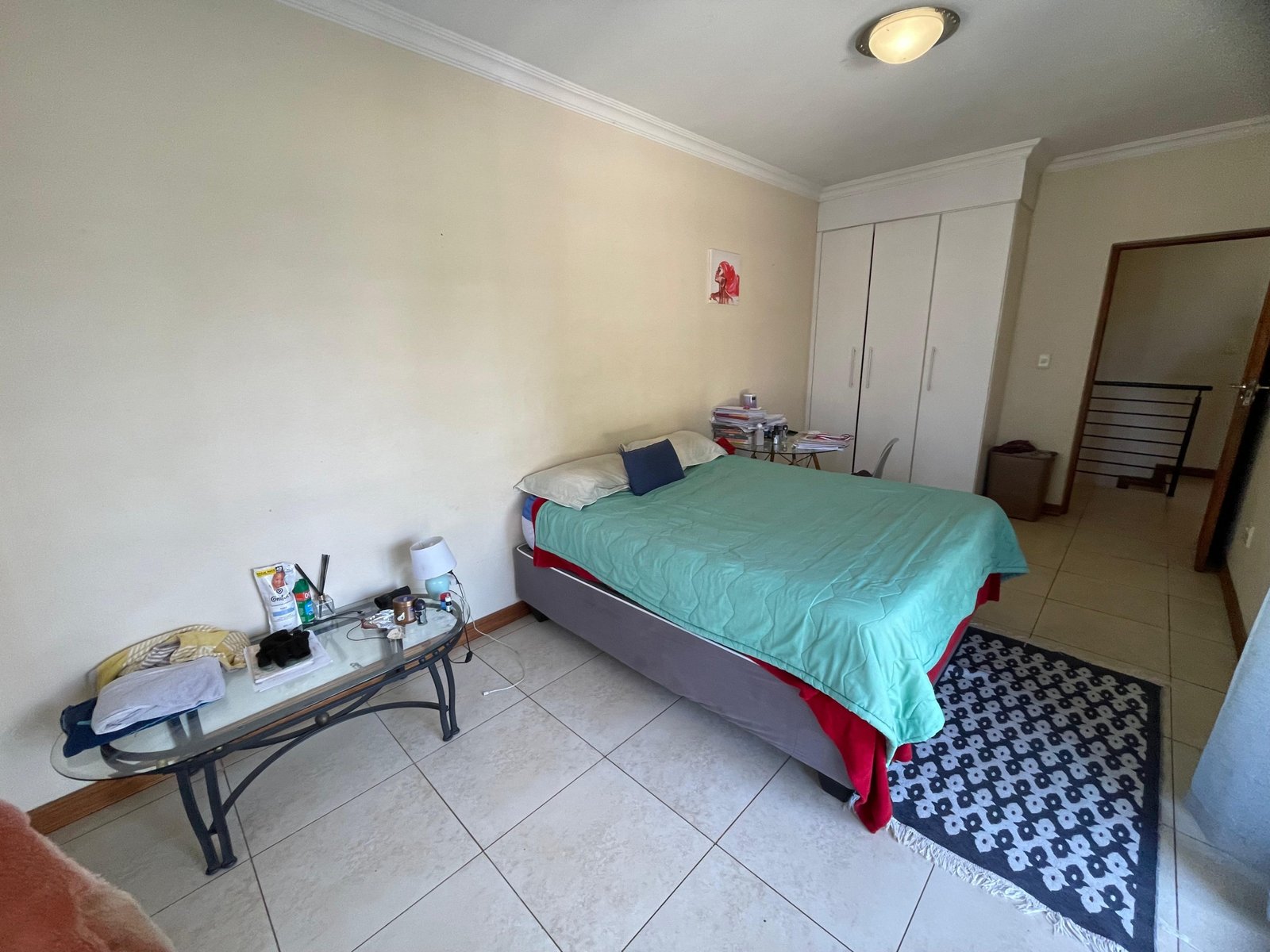 Silver palms8