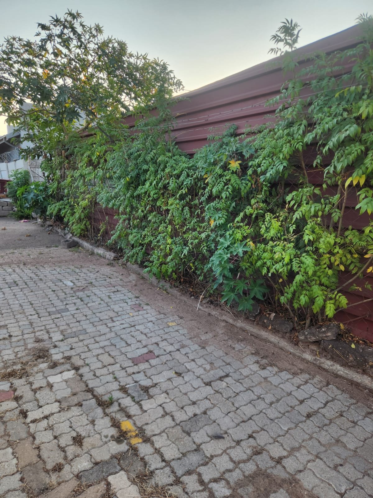 WhatsApp Image 2026-09-18 at 11.14.10